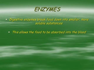 ENZYMES
 Digestive enzymes break food down into smaller, more
soluble substances
 This allows the food to be absorbed into the blood
 