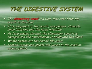 THE DIGESTIVE SYSTEM
 The alimentary canal is a tube that runs from the
mouth to the anus
 It is composed of the mouth, oesophagus, stomach,
small intestine and the large intestine
 As food passes through the alimentary canal it is
changed and the nourishment is taken into the blood
 Waste passes out the end of the canal
 Certain organs and glands add juices to the canal at
various points
 