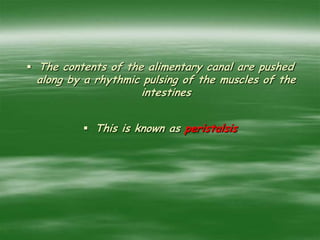  The contents of the alimentary canal are pushed
along by a rhythmic pulsing of the muscles of the
intestines
 This is known as peristalsis
 
