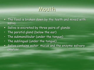 Mouth
 The food is broken down by the teeth and mixed with
saliva.
 Saliva is excreted by three pairs of glands:
• The parotid gland (below the ear)
• The submandibular (under the tongue)
• The sublingual (under the tongue)
 Saliva contains water, mucus and the enzyme salivary
amylase.
 