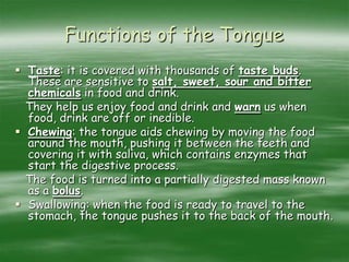 Functions of the Tongue
 Taste: it is covered with thousands of taste buds.
These are sensitive to salt, sweet, sour and bitter
chemicals in food and drink.
They help us enjoy food and drink and warn us when
food, drink are off or inedible.
 Chewing: the tongue aids chewing by moving the food
around the mouth, pushing it between the teeth and
covering it with saliva, which contains enzymes that
start the digestive process.
The food is turned into a partially digested mass known
as a bolus.
 Swallowing: when the food is ready to travel to the
stomach, the tongue pushes it to the back of the mouth.
 