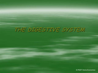 THE DIGESTIVE SYSTEM
© PDST Home Economics
 