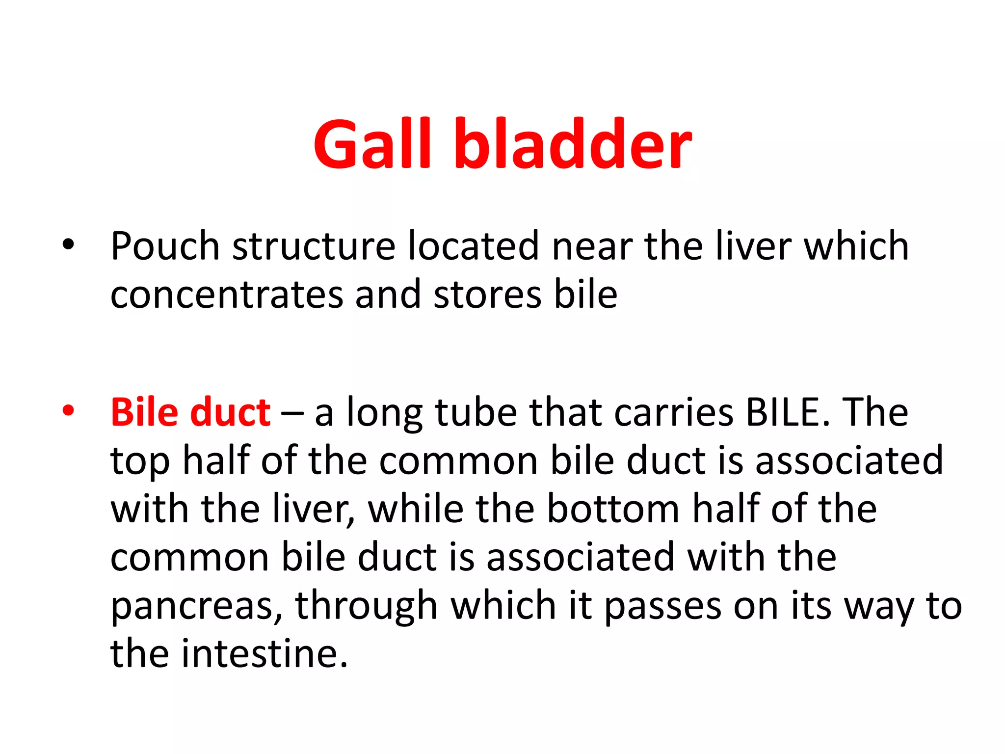 Gall bladder
• Pouch structure located near the liver which
concentrates and stores bile
• Bile duct – a long tube that carries BILE. The
top half of the common bile duct is associated
with the liver, while the bottom half of the
common bile duct is associated with the
pancreas, through which it passes on its way to
the intestine.
 