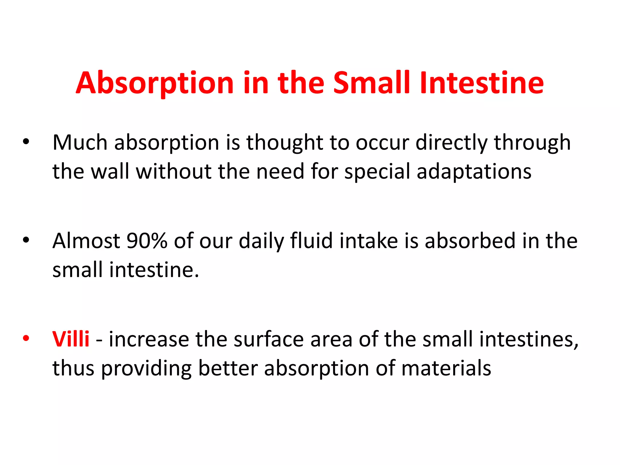Absorption in the Small Intestine
• Much absorption is thought to occur directly through
the wall without the need for special adaptations
• Almost 90% of our daily fluid intake is absorbed in the
small intestine.
• Villi - increase the surface area of the small intestines,
thus providing better absorption of materials
 