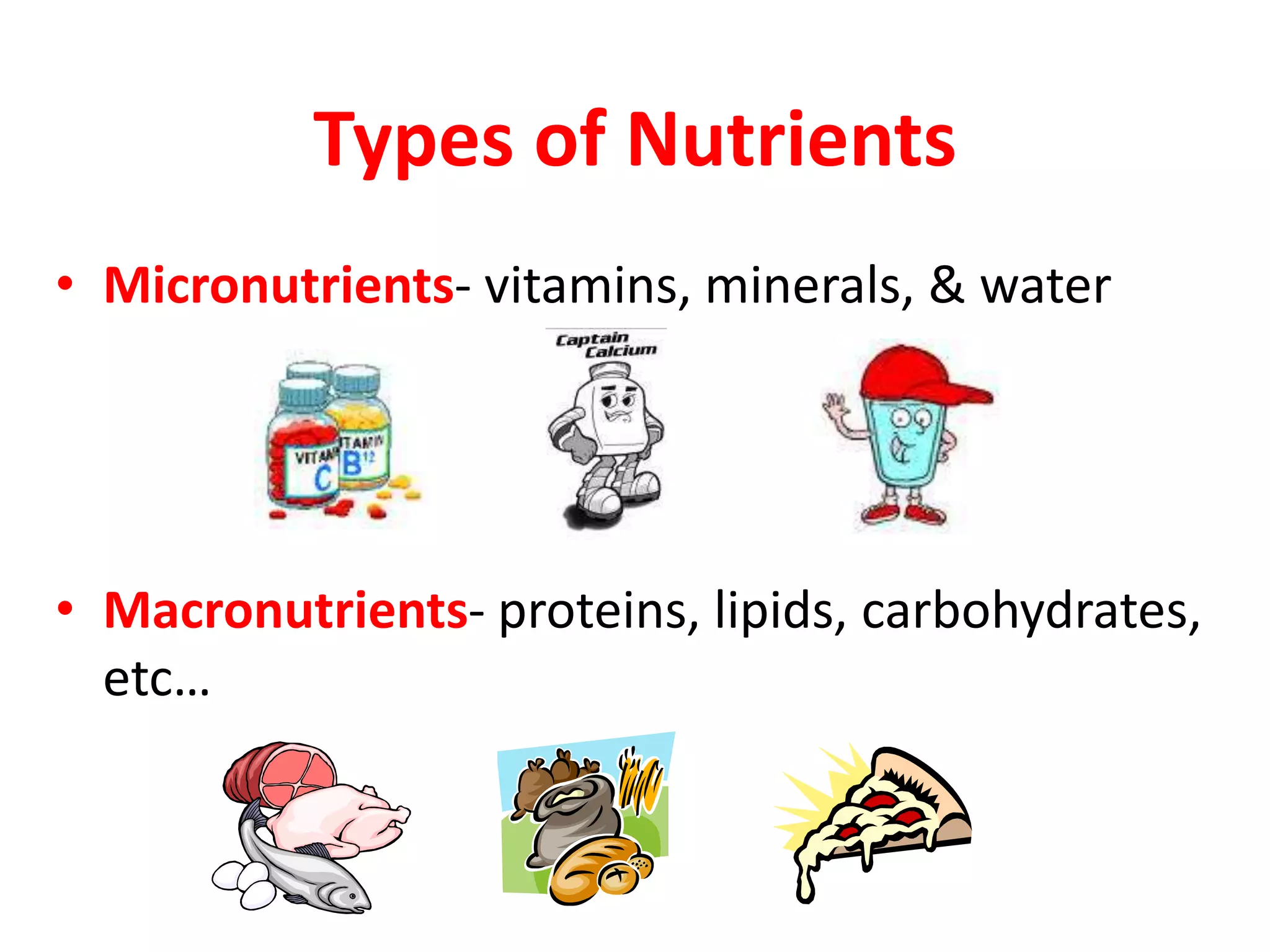 Types of Nutrients
• Micronutrients- vitamins, minerals, & water
• Macronutrients- proteins, lipids, carbohydrates,
etc…
 
