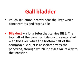 Gall bladder
• Pouch structure located near the liver which
concentrates and stores bile
• Bile duct – a long tube that carries BILE. The
top half of the common bile duct is associated
with the liver, while the bottom half of the
common bile duct is associated with the
pancreas, through which it passes on its way to
the intestine.
 