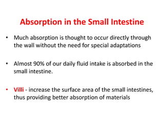 Absorption in the Small Intestine
• Much absorption is thought to occur directly through
the wall without the need for special adaptations
• Almost 90% of our daily fluid intake is absorbed in the
small intestine.
• Villi - increase the surface area of the small intestines,
thus providing better absorption of materials
 