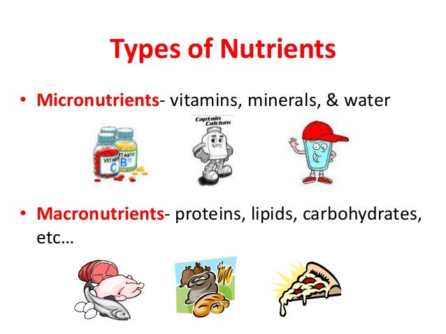 25+ Macronutrients And Micronutrients Foods Background