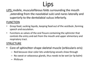 Lips Function Digestive system | PPTX