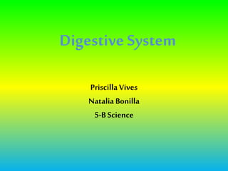Digestive System 
Priscilla Vives 
Natalia Bonilla 
5-B Science 
 