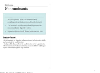 SECTION 2 
Nonruminants 
1. Food is passed from the mouth to the 
esophagus to a single compartment stomach 
2. The stomach breaks down food by muscular 
movement and digestive juices 
3. Digestive juices break down proteins and fats 
3 
Intestines: 
-the primary site for digestion and absorption of carbohydrates, lipids, 
and proteins is the small intestine 
-Undigested food passes from the small intestine to the large intestine 
where water is absorbed and lubricating mucus is added to aid the pas-sage 
of material through the large intestine 
McKenna Chase Monday, December 1, 2014 at 10:16:44 AM Pacific Standard Time 70:cd:60:8b:aa:a6 
 