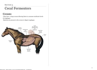 SECTION 3 
Cecal Fermenters 
4 
Cecum: 
-They have a large cecum allowing them to consume moderate levels 
of roughages 
-Bacteria are present in the cecum to digest roughages 
McKenna Chase Monday, December 1, 2014 at 10:16:44 AM Pacific Standard Time 70:cd:60:8b:aa:a6 
 