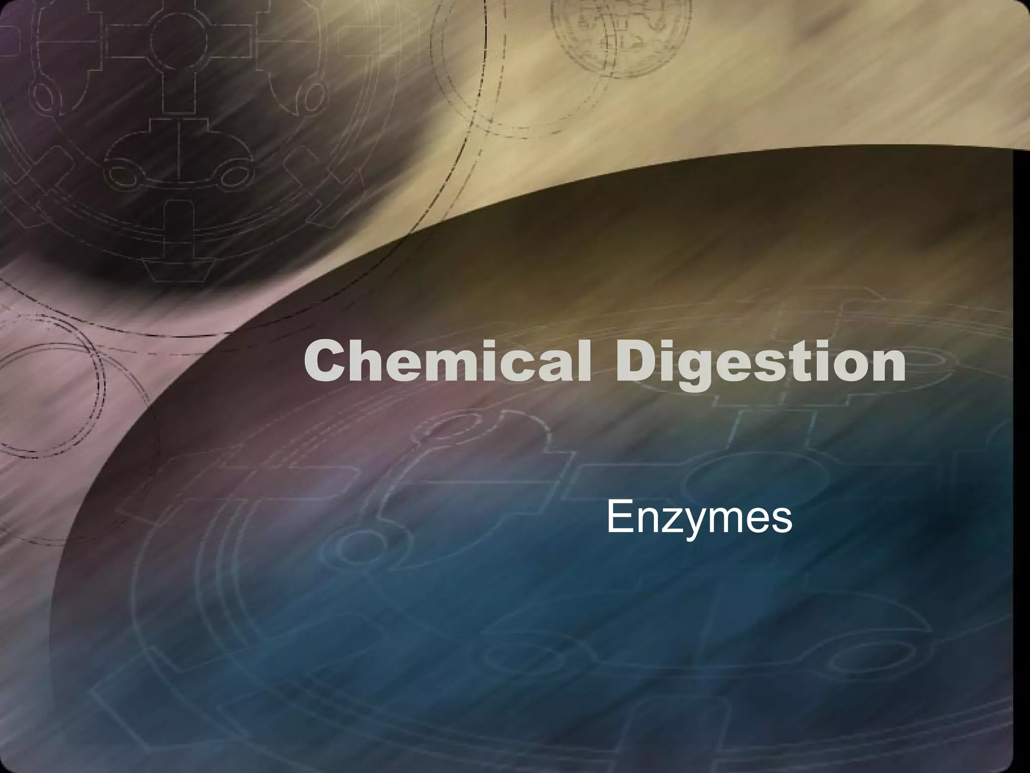Chemical Digestion 
Enzymes 
 