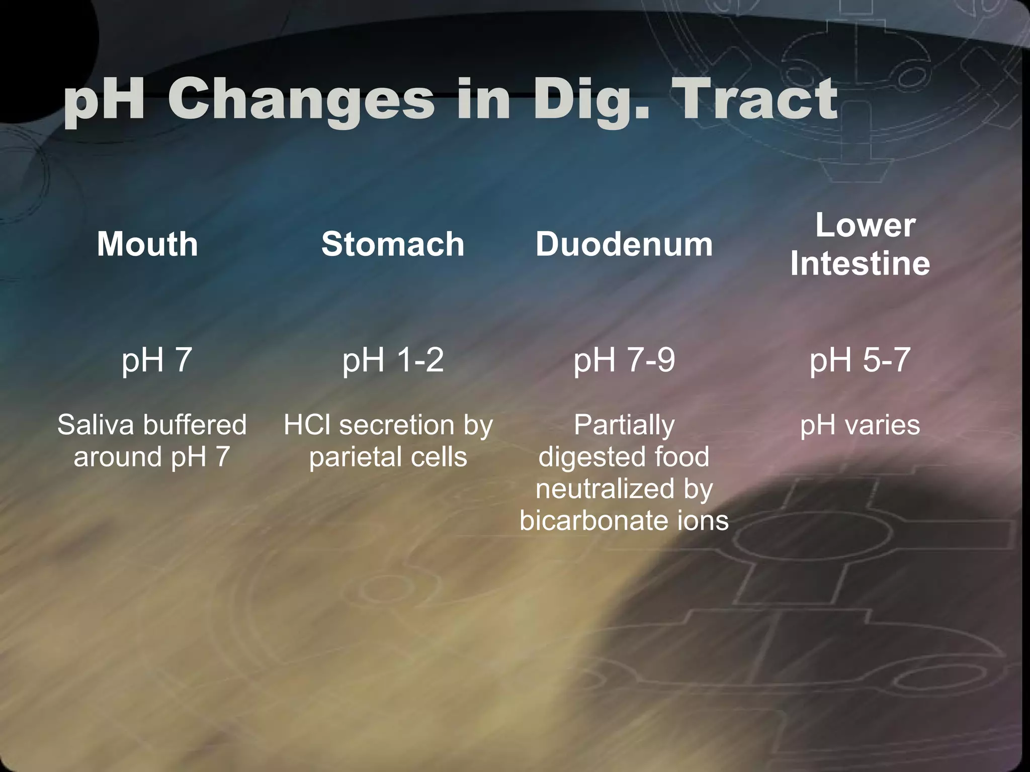 pH Changes in Dig. Tract 
Mouth Stomach Duodenum Lower 
Intestine 
pH 7 pH 1-2 pH 7-9 pH 5-7 
Saliva buffered 
around pH 7 
HCl secretion by 
parietal cells 
Partially 
digested food 
neutralized by 
bicarbonate ions 
pH varies 
 