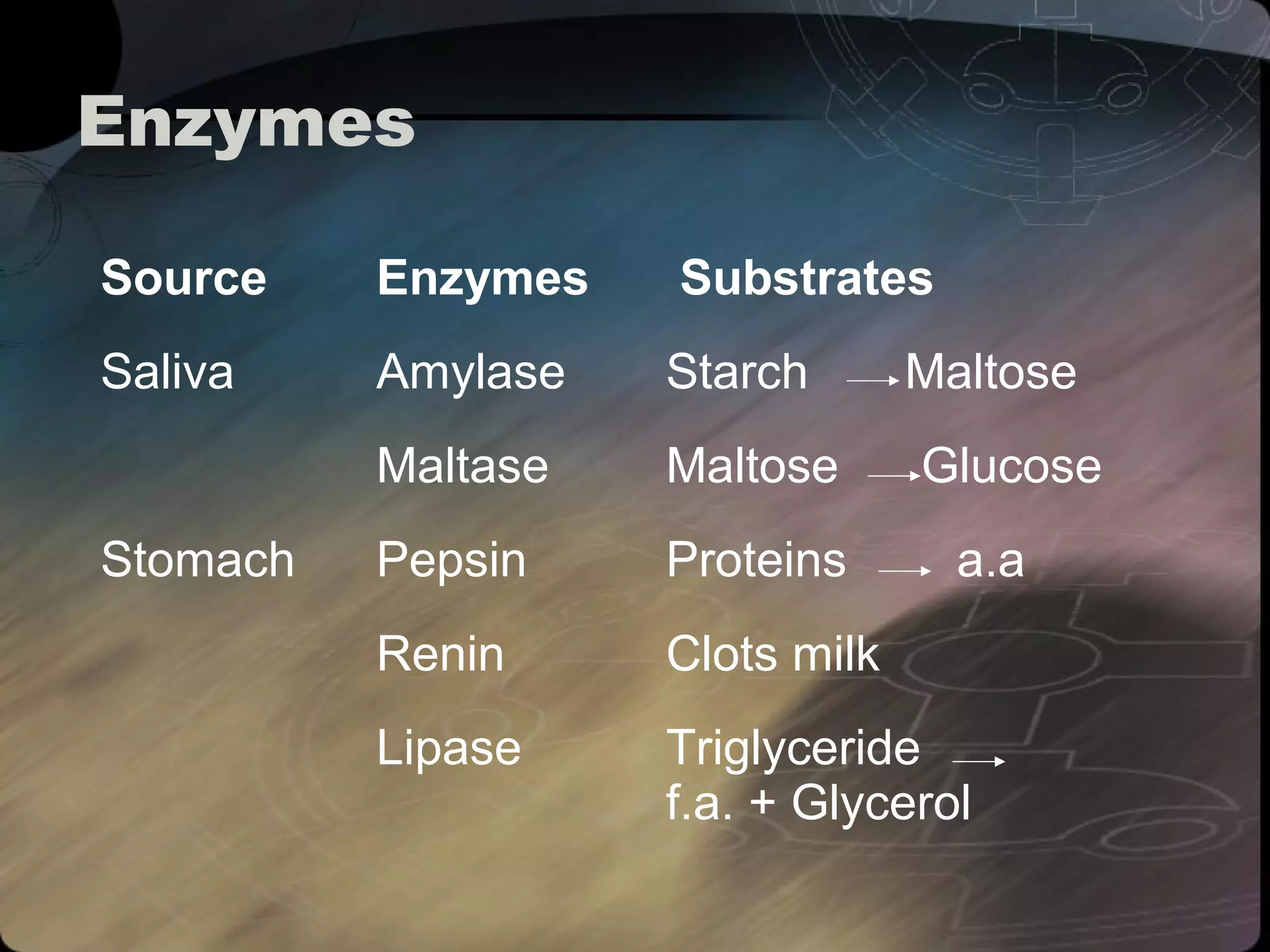 Enzymes 
Source Enzymes Substrates 
Saliva Amylase Starch Maltose 
Maltase Maltose Glucose 
Stomach Pepsin Proteins a.a 
Renin Clots milk 
Lipase Triglyceride 
f.a. + Glycerol 
 