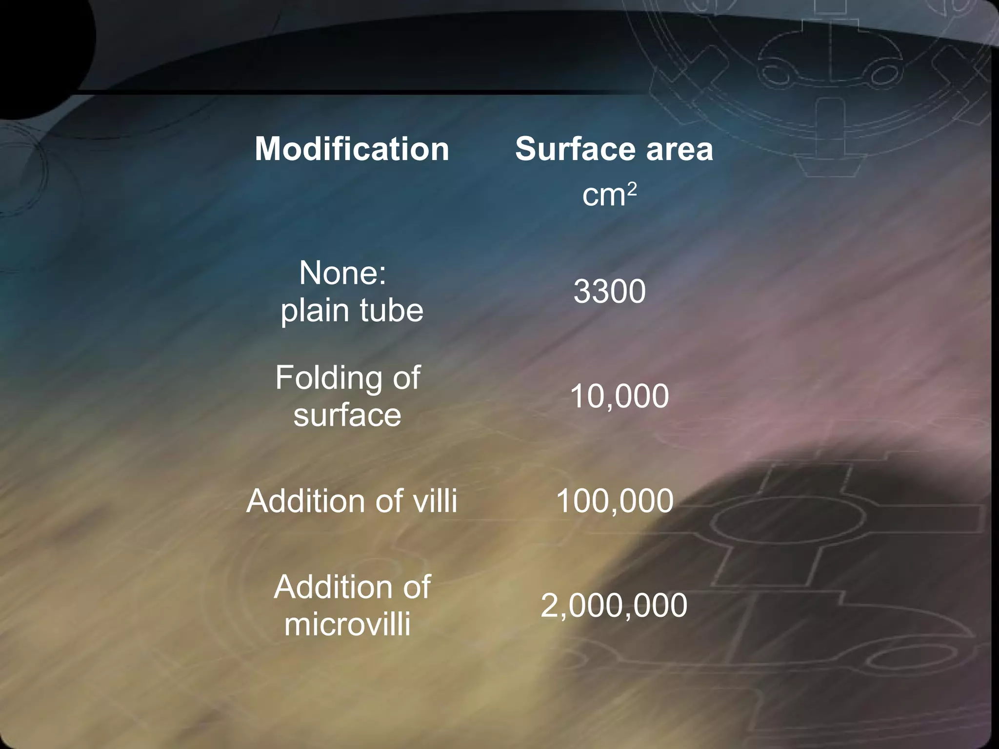 Modification Surface area 
cm2 
None: 
plain tube 3300 
Folding of 
surface 10,000 
Addition of villi 100,000 
Addition of 
microvilli 2,000,000 
 