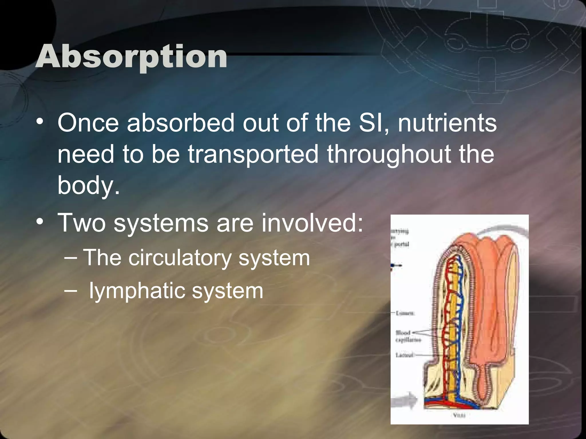 Absorption 
• Once absorbed out of the SI, nutrients 
need to be transported throughout the 
body. 
• Two systems are involved: 
– The circulatory system 
– lymphatic system 
 