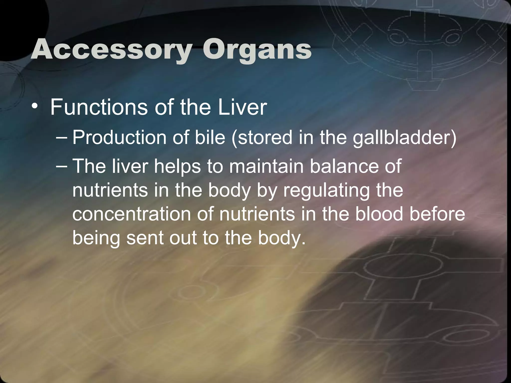 Accessory Organs 
• Functions of the Liver 
– Production of bile (stored in the gallbladder) 
– The liver helps to maintain balance of 
nutrients in the body by regulating the 
concentration of nutrients in the blood before 
being sent out to the body. 
 