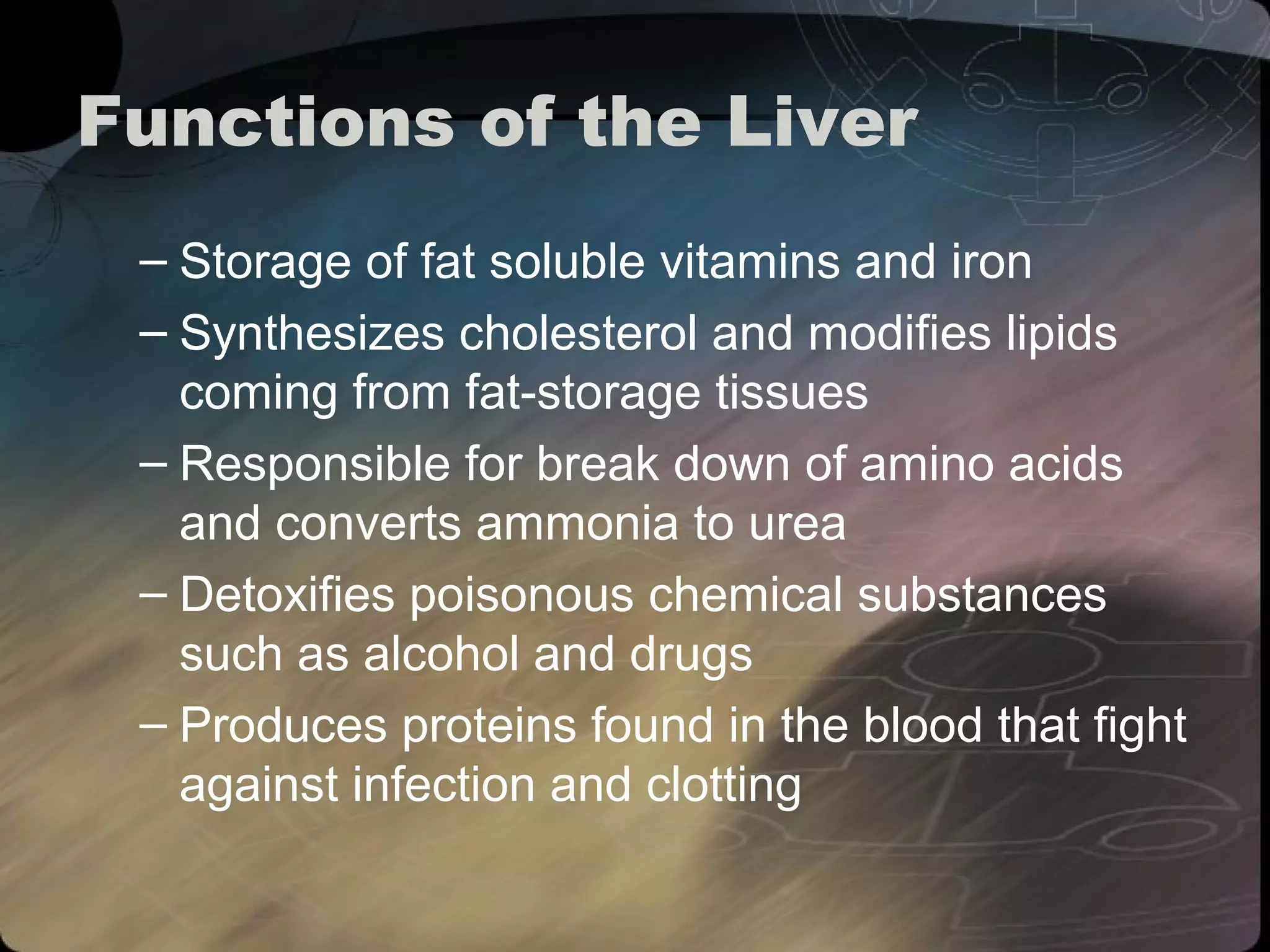 Functions of the Liver 
– Storage of fat soluble vitamins and iron 
– Synthesizes cholesterol and modifies lipids 
coming from fat-storage tissues 
– Responsible for break down of amino acids 
and converts ammonia to urea 
– Detoxifies poisonous chemical substances 
such as alcohol and drugs 
– Produces proteins found in the blood that fight 
against infection and clotting 
 