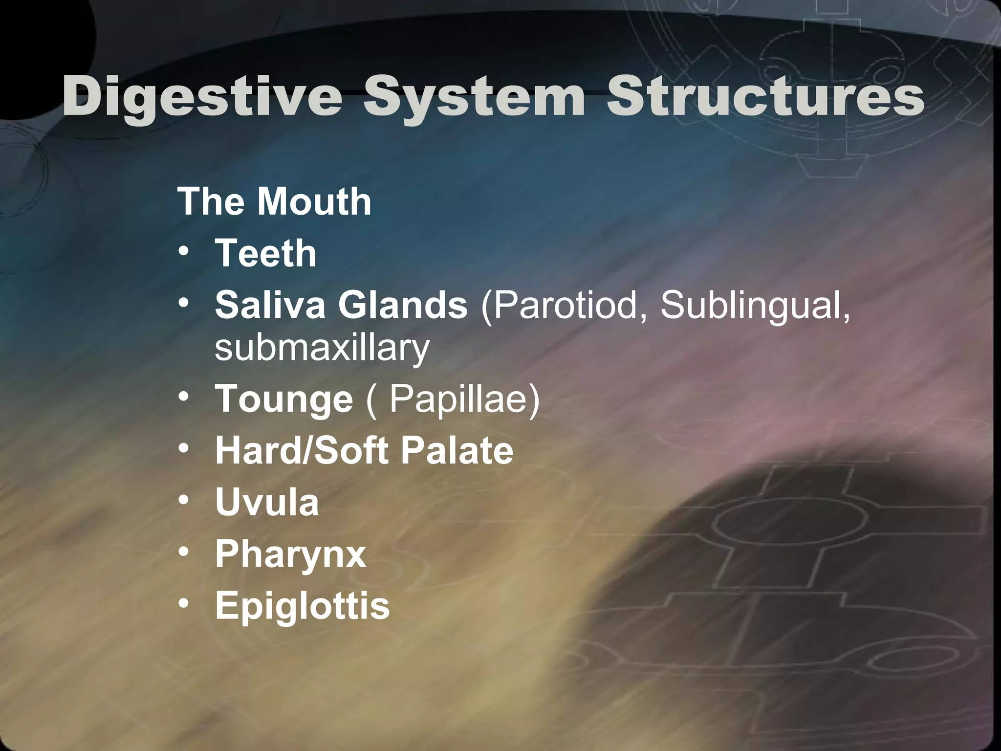 Digestive System Structures 
The Mouth 
• Teeth 
• Saliva Glands (Parotiod, Sublingual, 
submaxillary 
• Tounge ( Papillae) 
• Hard/Soft Palate 
• Uvula 
• Pharynx 
• Epiglottis 
 
