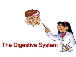 Drug Delivery System
The Digestive SystemThe Digestive System
 