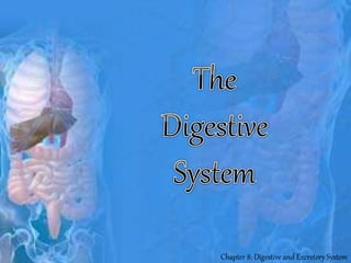 Chapter 8: Digestive and Excretory System
 