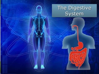 The Digestive
System
 