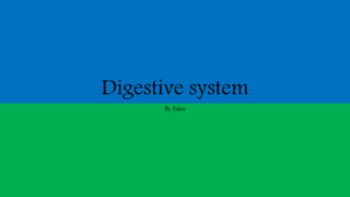 Digestive system
By Eden
 
