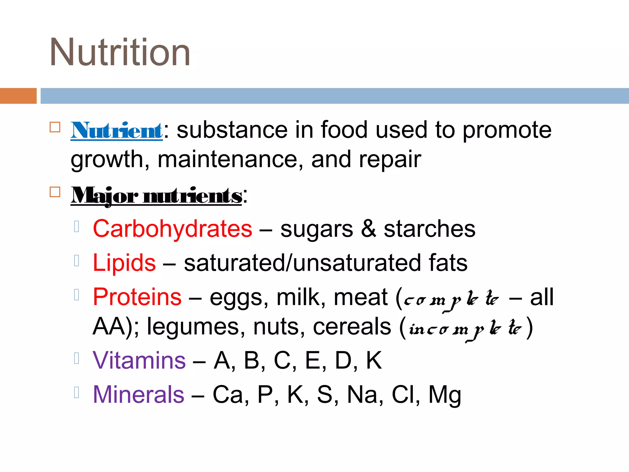 Anatomy & Physiology Lecture Notes - Digestive system | PPT