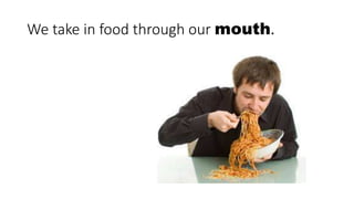 We take in food through our mouth.
 