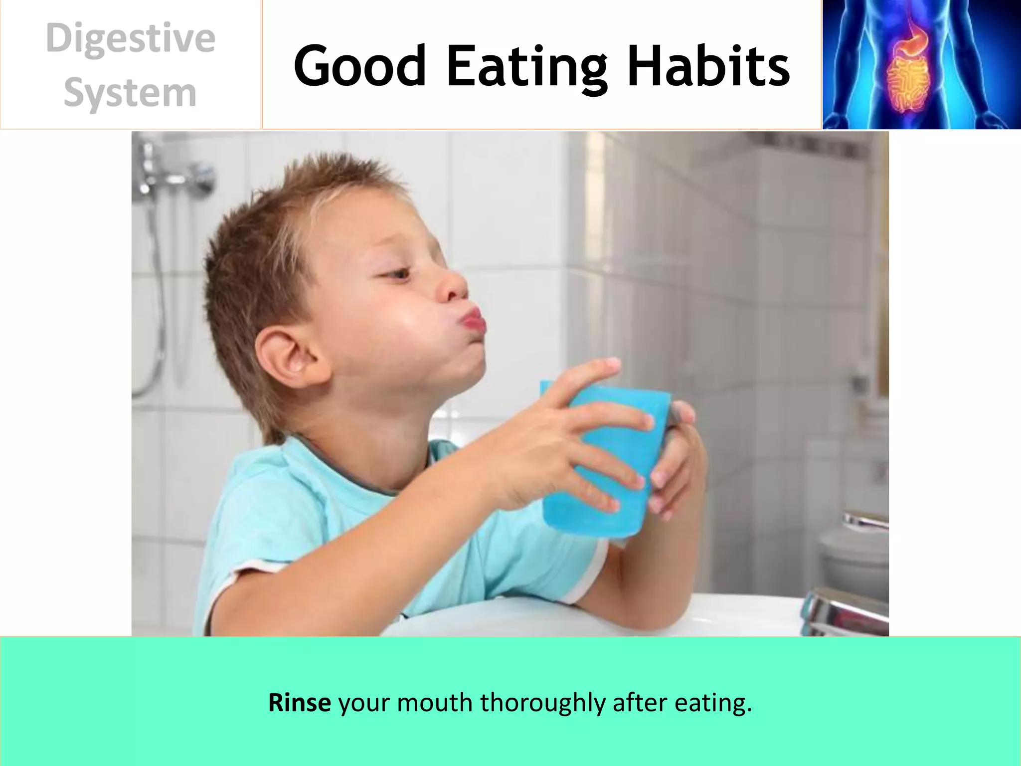 Good Eating Habits
Digestive
System
Rinse your mouth thoroughly after eating.
 