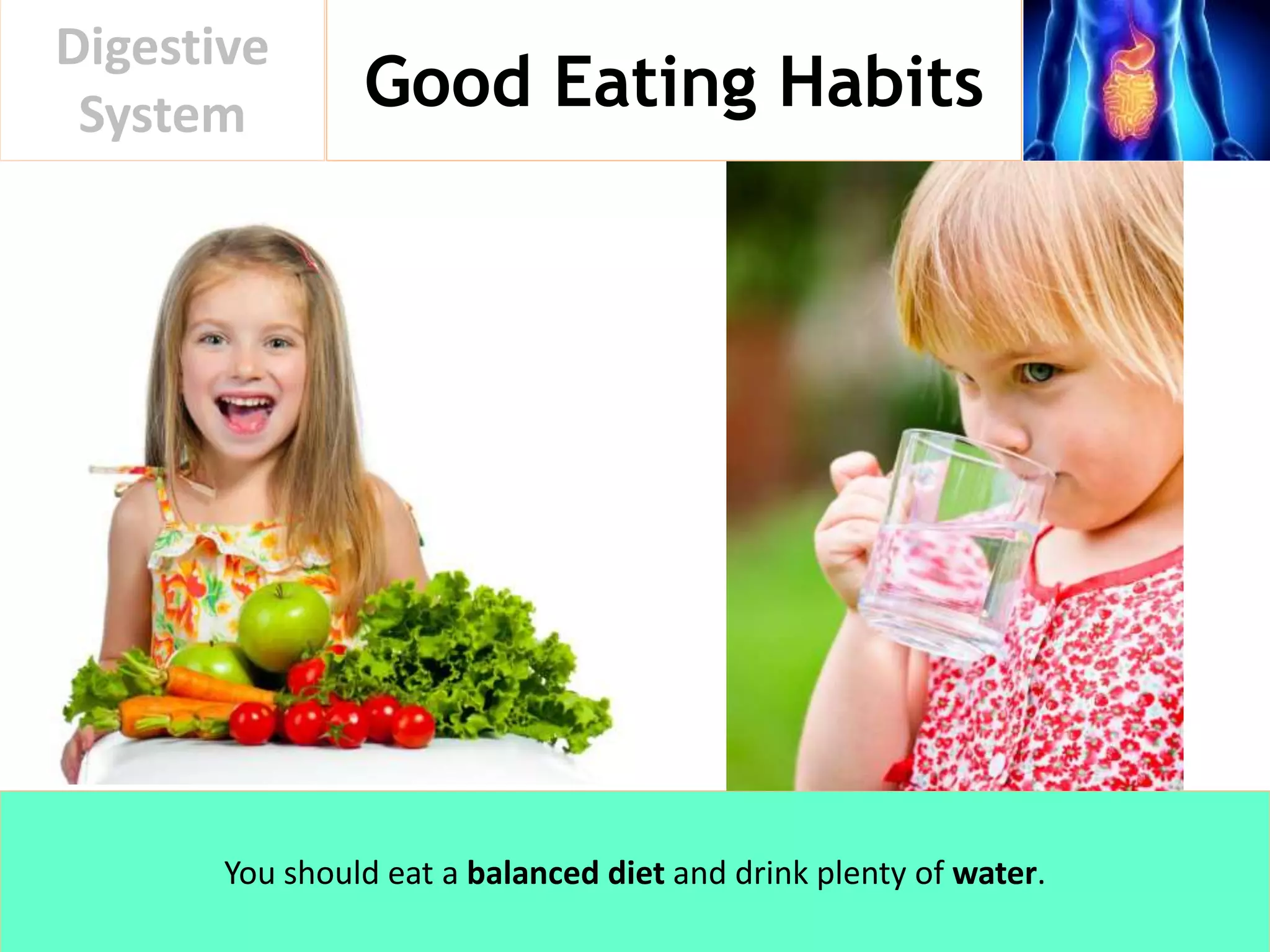 Good Eating Habits
Digestive
System
You should eat a balanced diet and drink plenty of water.
 