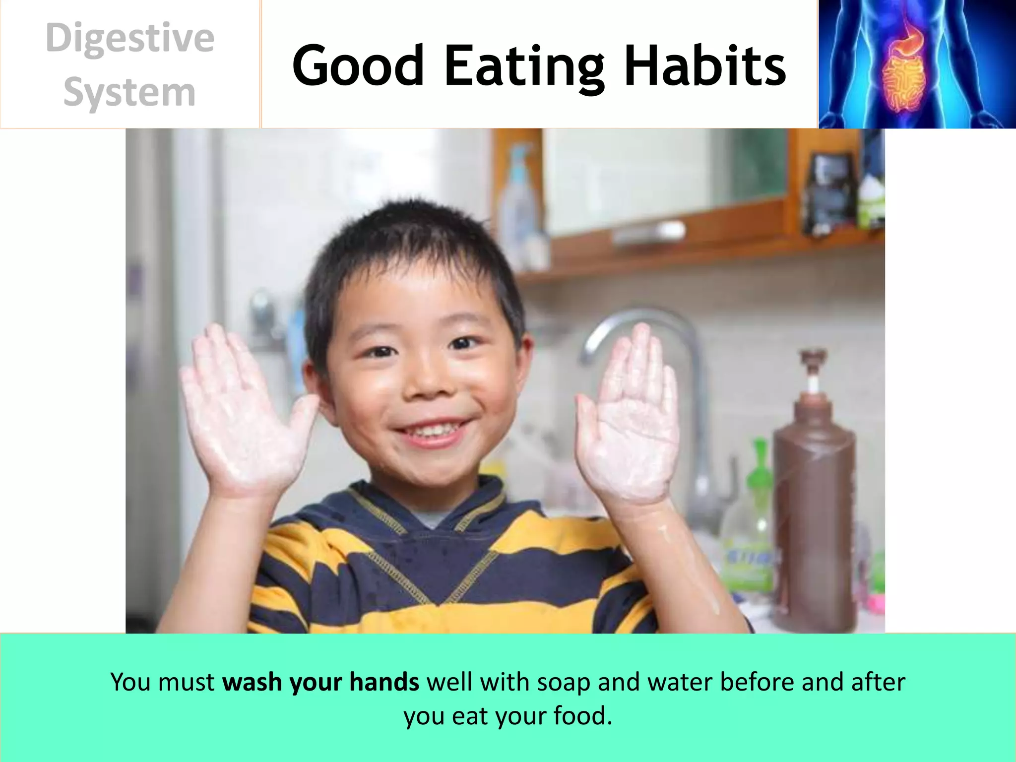 Good Eating Habits
Digestive
System
You must wash your hands well with soap and water before and after
you eat your food.
 