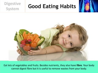 Good Eating Habits
Digestive
System
Eat lots of vegetables and fruits. Besides nutrients, they also have fibre. Your body
cannot digest fibre but it is useful to remove wastes from your body.
 