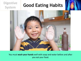 Good Eating Habits
Digestive
System
You must wash your hands well with soap and water before and after
you eat your food.
 