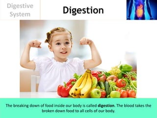 Digestion
Digestive
System
The breaking down of food inside our body is called digestion. The blood takes the
broken down food to all cells of our body.
 
