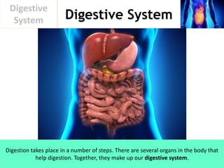 Digestive System
Digestive
System
Digestion takes place in a number of steps. There are several organs in the body that
help digestion. Together, they make up our digestive system.
 