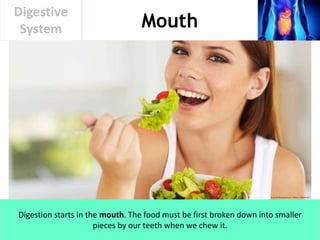 Mouth
Digestive
System
Digestion starts in the mouth. The food must be first broken down into smaller
pieces by our teeth when we chew it.
 