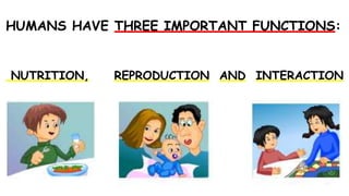 HUMANS HAVE THREE IMPORTANT FUNCTIONS:
NUTRITION, REPRODUCTION AND INTERACTION
 