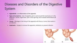 overview of the digestive system and diseases of it | PPTX