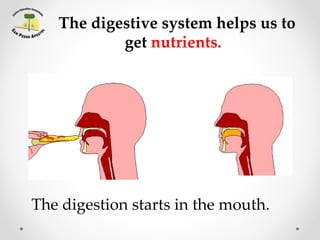 The digestive system helps us to
get nutrients.
The digestion starts in the mouth.
 