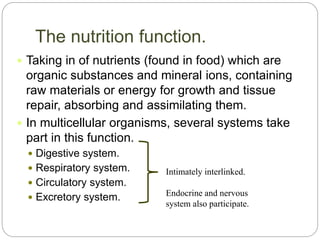The nutrition function.
 Taking in of nutrients (found in food) which are
organic substances and mineral ions, containing
raw materials or energy for growth and tissue
repair, absorbing and assimilating them.
 In multicellular organisms, several systems take
part in this function.
 Digestive system.
 Respiratory system.
 Circulatory system.
 Excretory system.
Intimately interlinked.
Endocrine and nervous
system also participate.
 