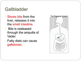 Gallbladder
 Stores bile from the
liver, releases it into
the small intestine.
 Bile is realeased
through the ampulla of
Vader.
 Fatty diets can cause
gallstones.
 