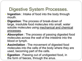 Digestive System Processes.
 Ingestion : Intake of food into the body through
mouth.
 Digestion: The process of break-down of
large, insoluble food molecules into small, water
soluble molecules using mechanical and chemical
processes.
 Absorption : The process of passing digested food
molecules across the wall of the intestine into the
blood or lymph.
 Assimilation : The movement of digested food
molecules into the cells of the body where they are
used, becoming part of the cells.
 Egestion : Passing out of undigested food, in
the form of faeces, through the anus.
 