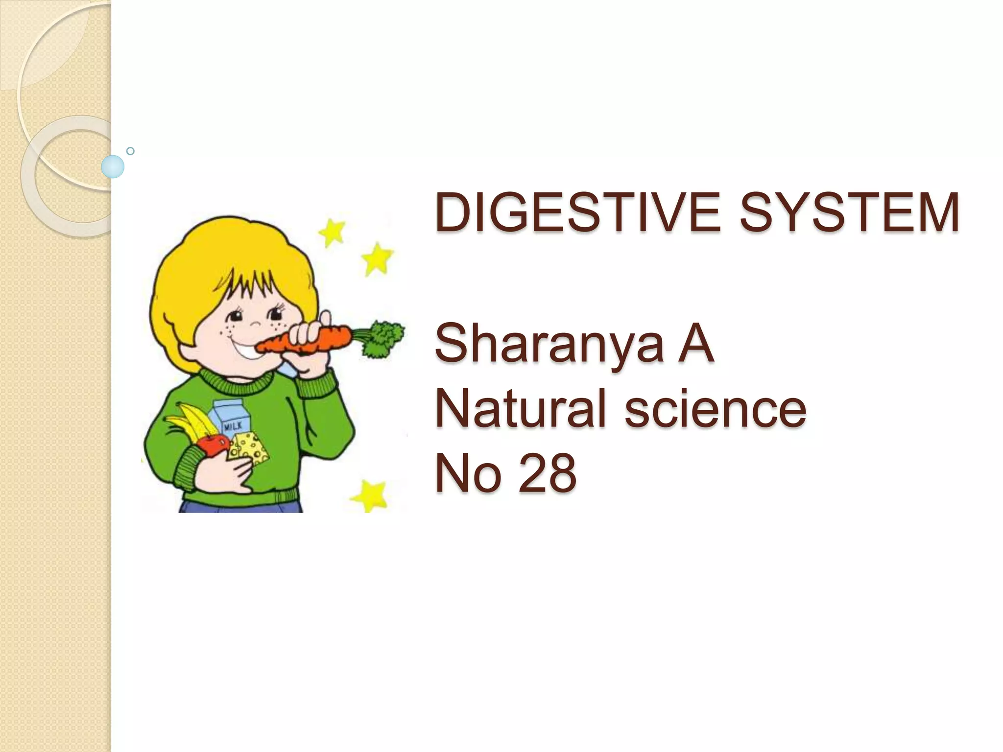 Digestive System PPT