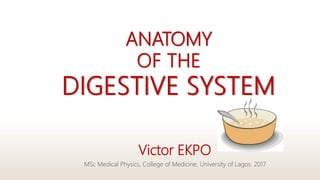 ANATOMY
OF THE
DIGESTIVE SYSTEM
Victor EKPO
MSc Medical Physics, College of Medicine, University of Lagos. 2017
 