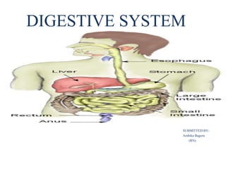 DIGESTIVE SYSTEM
SUBMITTED BY-
Ambika Bagora
(RN)
 