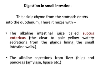 Digestion in small intestine-
The acidic chyme from the stomach enters
into the duodenum. There it mixes with –
• The alkaline intestinal juice called succus
entericus (the clear to pale yellow watery
secretions from the glands lining the small
intestine walls.)
• The alkaline secretions from liver (bile) and
pancreas (amylase, lipase etc.)
 