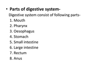 • Parts of digestive system-
Digestive system consist of following parts-
1. Mouth
2. Pharynx
3. Oesophagus
4. Stomach
5. Small intestine
6. Large intestine
7. Rectum
8. Anus
 