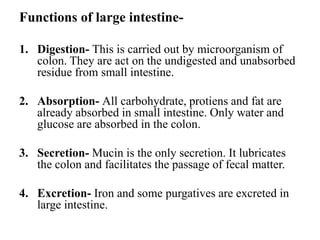 Functions of large intestine-
1. Digestion- This is carried out by microorganism of
colon. They are act on the undigested and unabsorbed
residue from small intestine.
2. Absorption- All carbohydrate, protiens and fat are
already absorbed in small intestine. Only water and
glucose are absorbed in the colon.
3. Secretion- Mucin is the only secretion. It lubricates
the colon and facilitates the passage of fecal matter.
4. Excretion- Iron and some purgatives are excreted in
large intestine.
 
